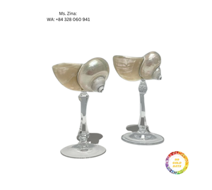 Tasse en verre coquillage faite à la main Unique mignon mariage pour verres à Champagne Cocktail boisson tasse pour femmes adultes - Product Image 1