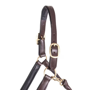 Licol pour cheval en cuir de haute qualité avec laisse et ferrures en laiton, marron - Vente chaude - Product Image 5