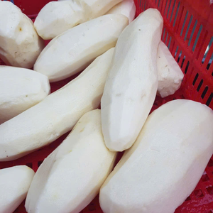 YAM BLANCO CONGELADO EXPORTACIÓN AL POR MAYOR PRODUCTO DE CALIDAD PREMIUM DE VIETNAM - Product Image 4