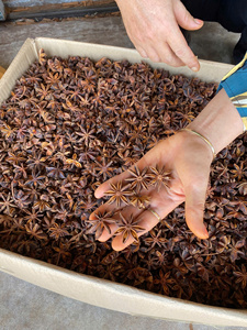 Anís estrellado seco de color natural de Vietnam, especias y hierbas individuales, precio - Product Image 3