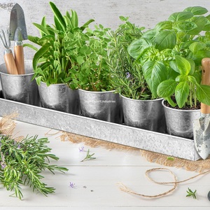 Galvanized Windowsill Garden Planter <b>Pots</b> with Tray & Drainage Set of 5 Metal Window Planters Kitchen & Outdoor Usage - Product Image 4