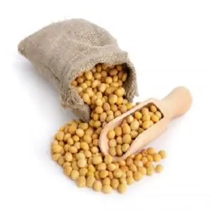 Wholesale Quality High Grade Non Gmo Organic Yellow Soybeans Delicious Soybeans Sale by Bulk Supplier