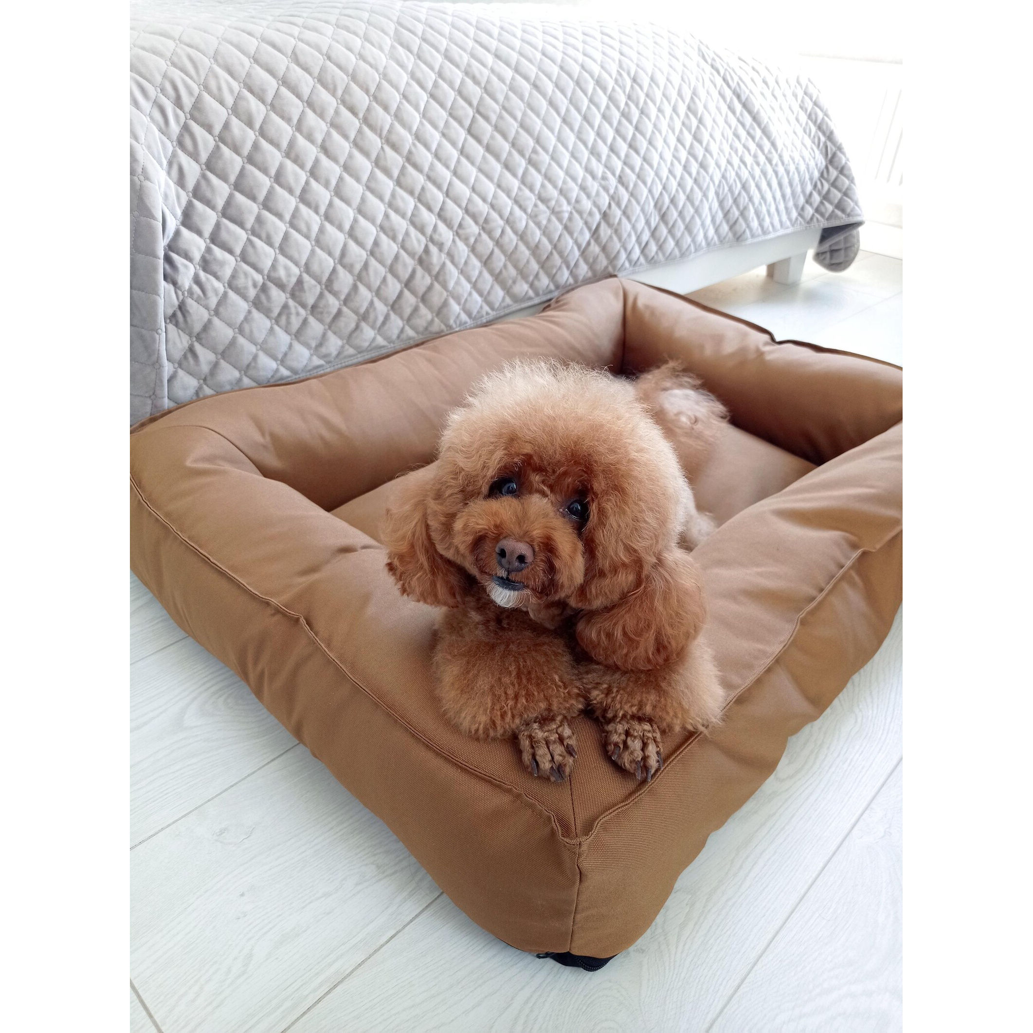 สีน้ำตาล