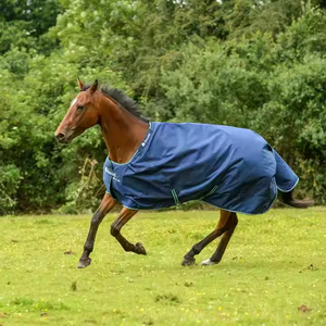 Tapis d'hiver durables et abordables pour chevaux avec conception personnalisée imperméable et matériau extérieur en polyester à 100% - Product Image 2