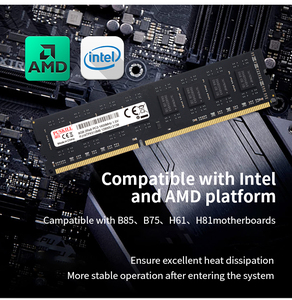 Puskill độ trễ thấp chơi game DDR5 4800MHz 5600MHz 8GB 16GB 32GB <span class=keywords><strong>Ram</strong></span> Bộ nhớ DDR5 <span class=keywords><strong>Ram</strong></span> cho máy tính để bàn - Product Image 4