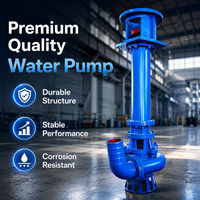 Pompe à boue submersible verticale IP68, robuste, haute pression, résistante à l'usure, pour le désassainissement des rivières, les centrales électriques et les réservoirs de cendres, OEM