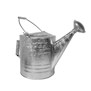 Top tendance Jardin décoré en acier galvanisé vintage pot de fleur enduit de poudre plante bon marché arrosoir en métal - Product Image 3