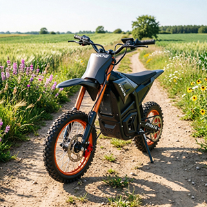 Moto <span class=keywords><strong>électrique</strong></span> tout-terrain légère 48V5A S1 à charge rapide (7 à 8 heures de charge complète) pour les trajets quotidiens et les voyages - Product Image 6