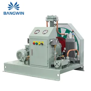 Professional Manufacturer Wholesale Price Oil free compressor Small Hydrogen Compressors