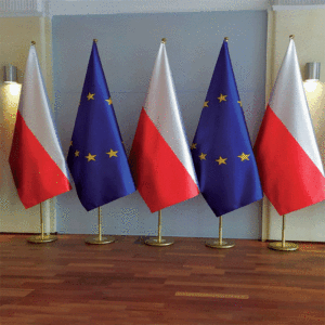 Bandera de Interior de poliéster 100d de publicidad barata Bandera de oficinas de lujo NACIONAL DE Camerún con soporte de poste - Product Image 5