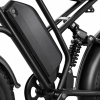 Bicicleta Eléctrica de Montaña Pro 750W, 50KM/H, 48V 18AH, Batería de Grado Automotriz, Neumático Grueso de 20 Pulgadas, Alto Rendimiento, Todoterreno