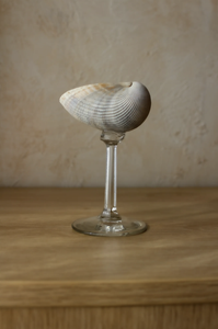 Verre coquillage décoratif avec des courbes élégantes pour l'affichage à domicile et les idées cadeaux - Product Image 2