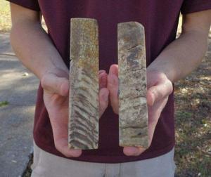 Plaque plate en corne de buffle, de bœuf et de mouton pour lunettes optiques et montures, et poignées personnalisées - Product Image 4