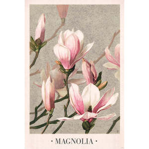 Póster de Magnolia de estilo moderno pintado a mano por L. Prang & Co 1886, decoración de pared con paisaje floral impreso - Product Image 4
