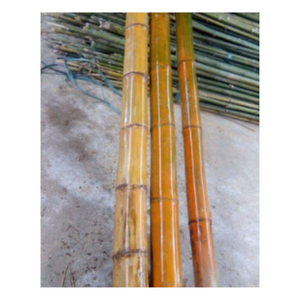 Hot Sale - Bamboo Poles Big and Strong Bamboo <b>Canes</b> - Raw Material Treated Bamboo Poles for <b>Gardening</b> or Export - Product Image 1
