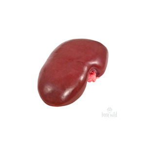 Origen Congelado Procesamiento Cerdo Fresco Riñones Carne congelada barata Grado congelado Carne congelada barata Venta entera de carne de cerdo con alto - Product Image 3