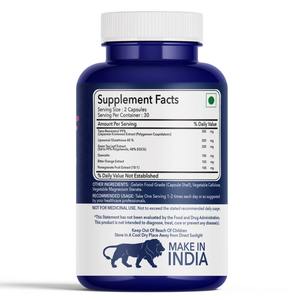 Extracto de Knotweed 99 por ciento más vendido con resveratrol natural obtenido a nivel mundial de proveedores de confianza por su calidad y pureza - Product Image 3