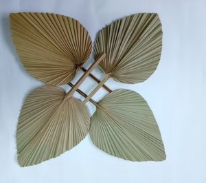 Meilleures ventes de feuilles de palmier séchées, décoration murale en feuille de palmier naturelle, décoration de mariage pour l'exportation - Product Image 5