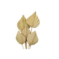 Feuilles de palmier Lance Feuilles de palmier naturelles Lance de palmier Fête des mères Saint Valentin Noël Merci Cadeaux pour chaque fois