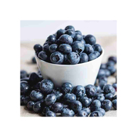 Blueberry Segar Berkualitas Tinggi Grade Terbaik Asal AS, Umur Simpan 2 Tahun