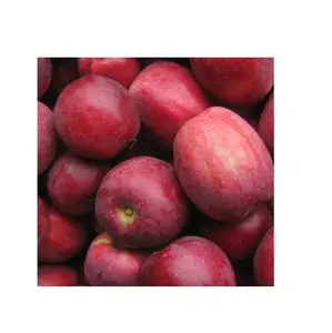 แอปเปิ้ลลิเบอร์ตี้แดงสดคุณภาพดีที่สุด | แอปเปิ้ลฟูจิธรรมชาติ สต็อกสดส่งออกจํานวนมาก