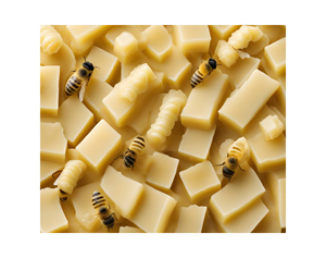 High Quality Bulk Pure Beeswax/<b>bee</b> <b>Wax</b> (from the Pure Largest <b>Bee</b> Industry) - Product Image 6