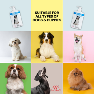 Champú para Mascotas para un Pelaje Sano y Brillante, Champú Medicado Inspirado en la Dermatología, Previene la Caída del Pelo y Promueve el Recrecimiento - Product Image 4