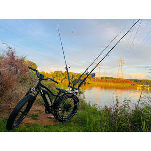 Bicicleta eléctrica Himiway D3 (Cruiser) de largo alcance con neumático grueso - Product Image 1