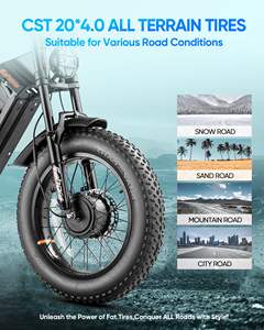 Ehora romeo juliet 3 אופניים עירוניים חשמליים לטווח ארוך 100 + קילומטרים ebike 250w מנוע mtb צעד דרך 20 "צמיג שומן - Product Image 4