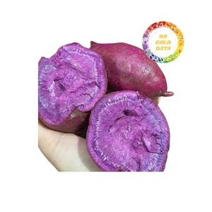 Batata al vapor congelada de alta calidad suministrada directamente del fabricante en cantidades a granel para exportación y cooperación a largo plazo - Product Image 1