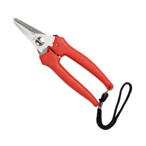 Forbici per Viti in Acciaio Inox 16 Cm - Product Image 1