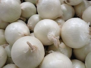 Cebolla Blanca en Oferta, Empacada en Bolsa Grande Ventilada de Malla, 15 kg - Product Image 5