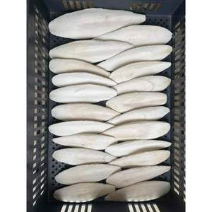 Espina de sepia seca orgánica disponible a granel lista para exportar para los compradores - Product Image 2