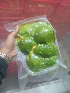 Aguacate congelado Puré de aguacate medio congelado 100% Natural Iqf Fabricantes de pasta de aguacate Venta al por mayor Proveedores a granel ÁNGULO - Product Image 3