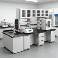 Meuble de laboratoire central pour hôpital et école, îlot de travail pour tests chimiques, surface en acier, design moderne, usage commercial