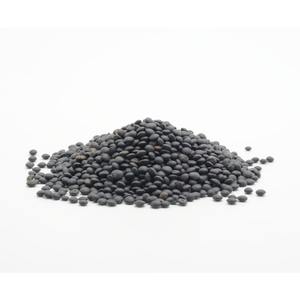 Organic Non-GMO Black <b>Lentils</b> Premium Grade Factory Direct Carefully Selected for Wholesale Orders - Product Image 1