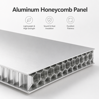 Panneau en nid d'abeille en aluminium AHP gris argenté avec revêtement PVDF personnalisé, résistant à la décoloration, qualité extérieure pour mur extérieur de villa