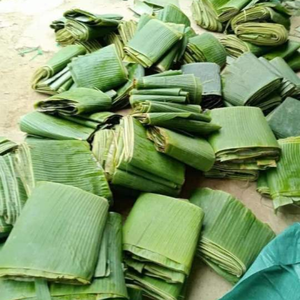 Hojas de plátano congeladas de primera calidad para envolver alimentos y uso de catering - Product Image 2