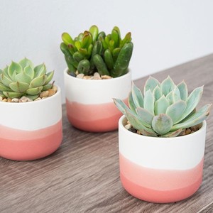 Ensemble de pots de fleurs élégants en céramique émaillée, porte-plantes décoratifs d'intérieur durables avec un design minimaliste moderne - Product Image 4