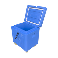 Conteneur de transport de glace sèche rotomoulé de 45 L, grande capacité, à roues, isotherme, robuste, pour aliments, préservation thermique industrielle