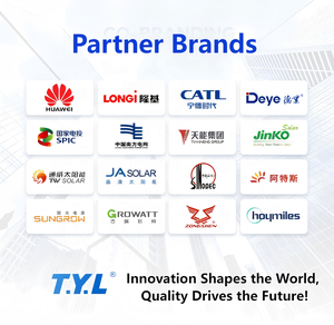 Sistema Solare Ibrido TYL-24KW con Pannelli in Silicio Monocristallino, Inverter a Onda Sinusoidale Pura, Batteria agli Ioni di Litio per Uso Domestico Off-Grid - Product Image 6