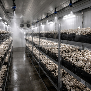 <b>Mushroom</b> Container Greenhouse Automatic <b>Mushroom</b> Growing System Smart Climate Control <b>Farming</b> <b>Equipment</b> - Product Image 2
