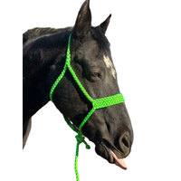 Sillín occidental, cinta de Mula ecuestre, cabestro trenzado, cuerda de plomo de caballo, cuerda trenzada de vaquero, equipo de caballo, sillín occidental, collar para la cabeza
