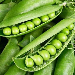 Guisante de Paloma Desgranado, Rico en Proteínas, de Grado Alimenticio, Disponible a Precio de Granja - Product Image 2