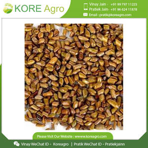 เมล็ด Cassia Tora ธรรมชาติ 100% คุณภาพสูงผลิตในราคาขายส่ง - Product Image 2