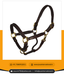 Vente en gros de licou de cheval en cuir rembourré souple de sécurité équipement d'entraînement de cheval mignon et joli harnais de cheval intelligent - Product Image 5