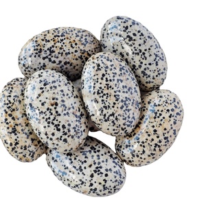 Pierre de méditation ovale en jaspe dalmatien naturel, polie, pour la guérison, la méditation, le Reiki et les chakras, vente en gros, agate de Rais - Product Image 1