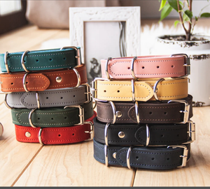 Collar de perro sabueso de cuero verde de alta calidad para galgo y Whippet - Product Image 1