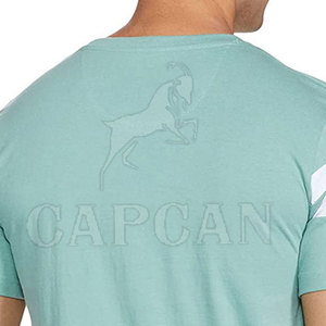 T-shirts en coton à manches courtes pour hommes, coupe classique, personnalisables, vente en gros, séchage rapide, respirants, col rond, haute qualité, couleur unie CAPCAN, 2024 - Product Image 5