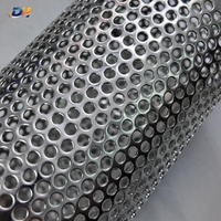 Cylindre filtrant perforé en acier inoxydable 304 316L, diamètre personnalisé, cartouche filtrante perforée